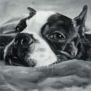 head of boxer in black and white