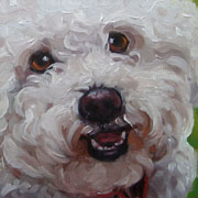 animated face of a dog with white curly hair
